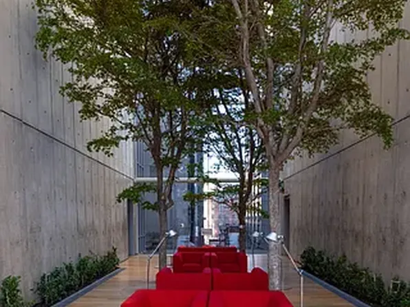 565 Broome Street image 11 of 11