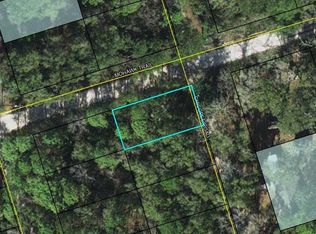 35 Chicopee Rd, Crawfordville, FL 32327