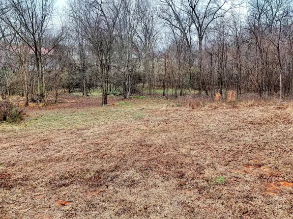 641 Forrest Ave, Mc Kenzie, TN 38201