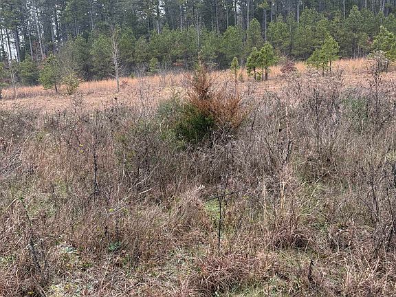 3rd image of 1400 Goff Rd