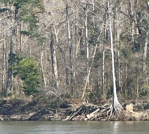 3rd image of 2377 Chipola Riv