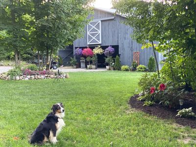 11400 Henry Collins Rd, Wolverine, MI, 49799