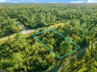 316 Tyrone Ave, Lehigh Acres, FL 33972