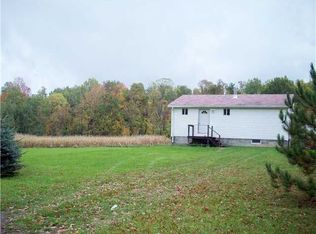 8601 Kysorville Byersville Rd, Dansville, NY 14437