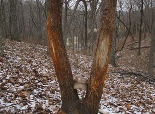 25850 Cave Creek Rd, Prairie Home, MO 65068