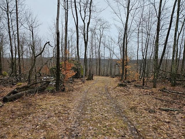 1st image of 0 Scandia Rd