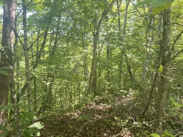 0 Fox Layre Rd, Franklin, NC 28734