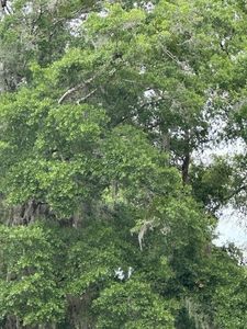 3406 SE 15th Ave, Gainesville, FL, 32641