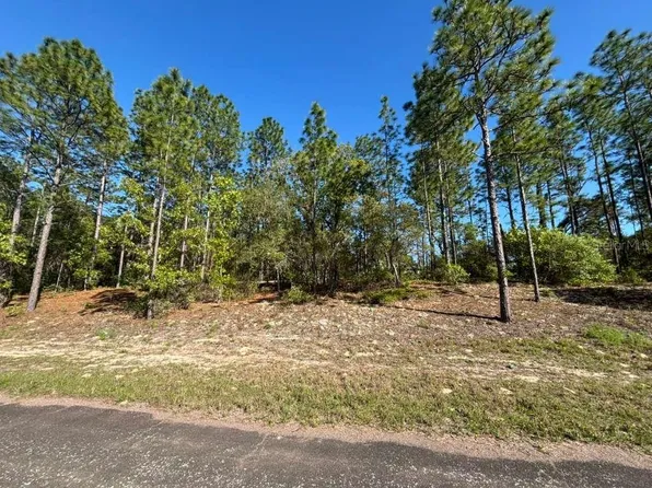 9161 N Marcus Way Lot 10, Dunnellon, FL 34433