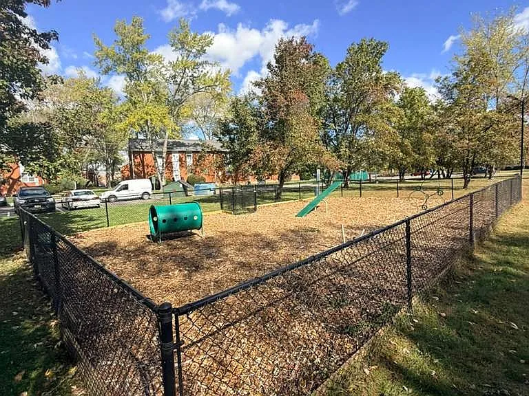Dog Park