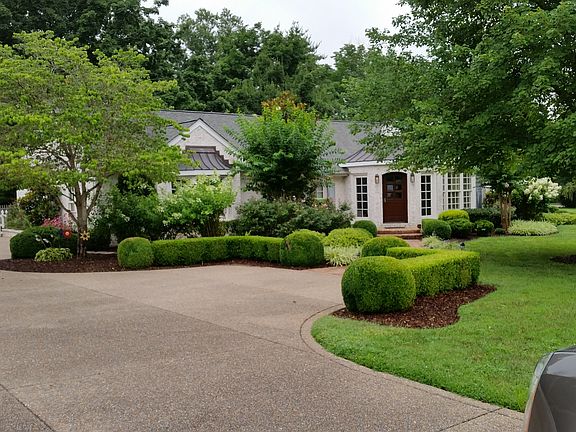 Front View Summer