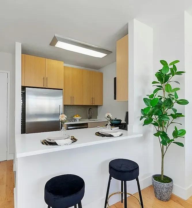110 Horatio St #202