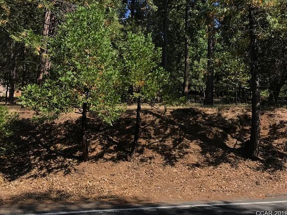 5th image of 181 Forest Meadows Dr