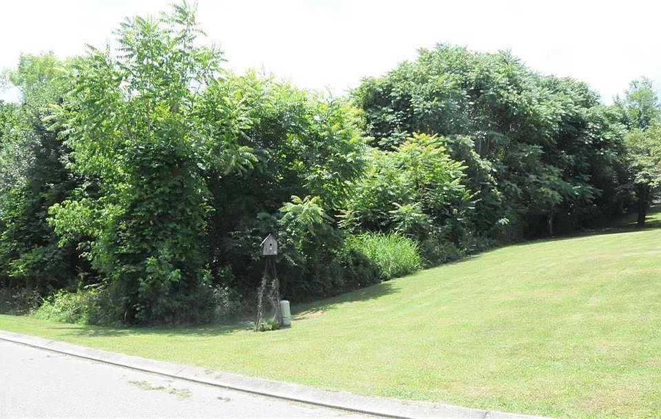 1st image of 46 Fairmont Dr