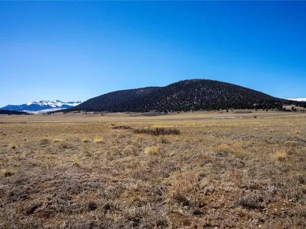 107 Trout Rd, Fairplay, CO 80440
