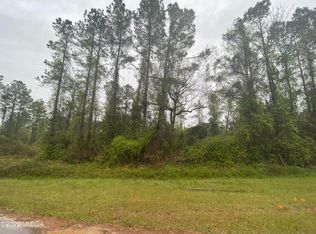 13 Hawkeye Ct, Oglethorpe, GA 31068