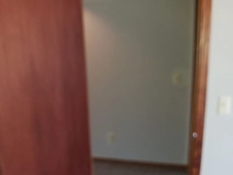 209 W Main St — Photo 19