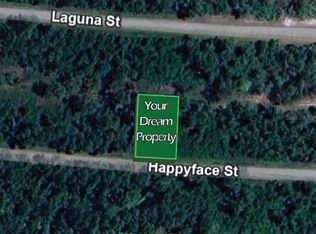 7356 Happyface St, Sebring, FL 33872