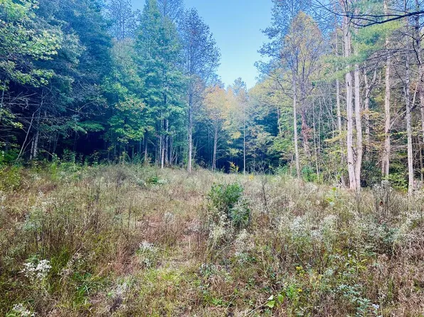 1798 Flea Mountain Rd, Murphy, NC 28906