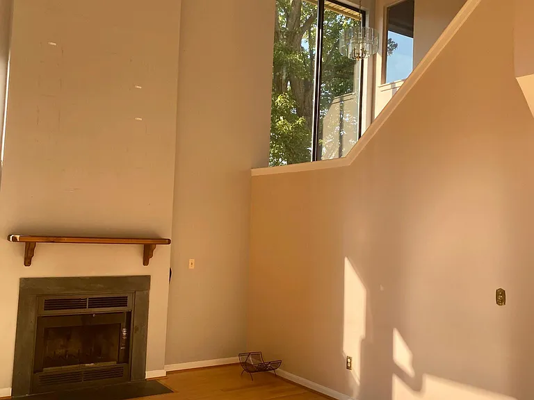 411 Lynetree Dr — Photo 6
