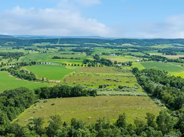 Old Greenwood Rd, Orangeville, PA 17859