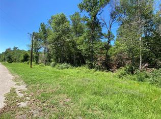 19725 W Lakeshore Dr, Magnolia, TX 77355