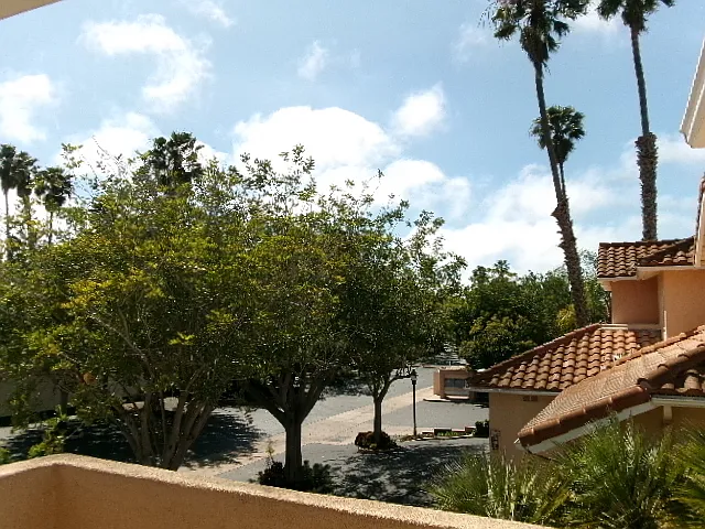 7111 Monique Ct — Photo 23
