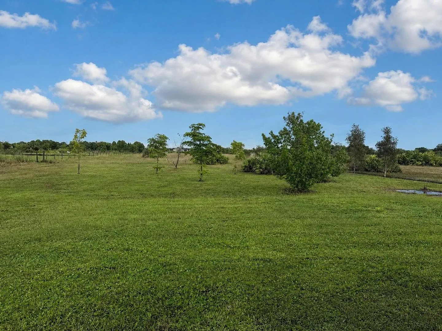 Private 2.73-Acre Retreat 4 Bedrooms, 2 Bathrooms — Photo 4