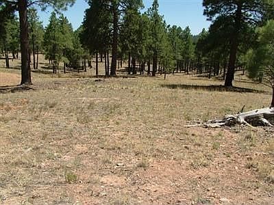 1st image of 3623 S Clubhouse Cir