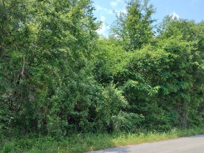 1393 Meagen Ln, Manning, SC, 29102