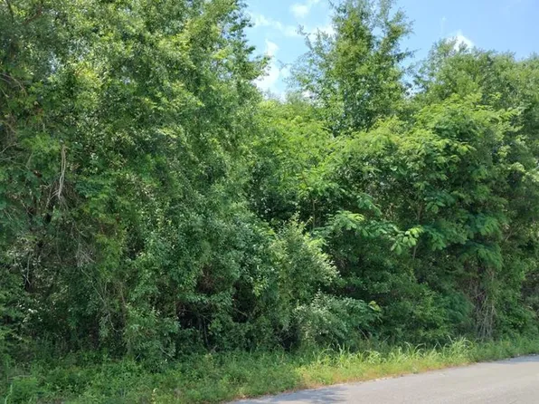 1393 Meagen Ln, Manning, SC 29102