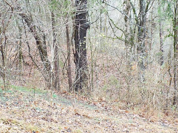 3rd image of Lee Lambert Rd
