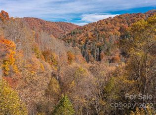 0 Drake Cove Rd, Mars Hill, NC 28754