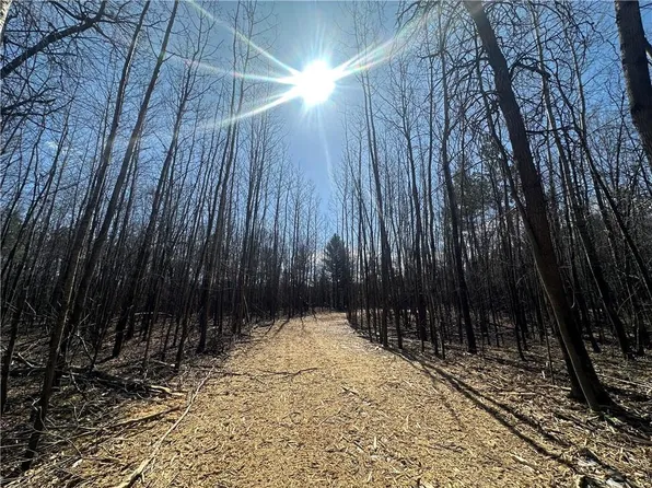 Lot 9, 2.21+/- Acres 295th Street, Holcombe, WI 54745
