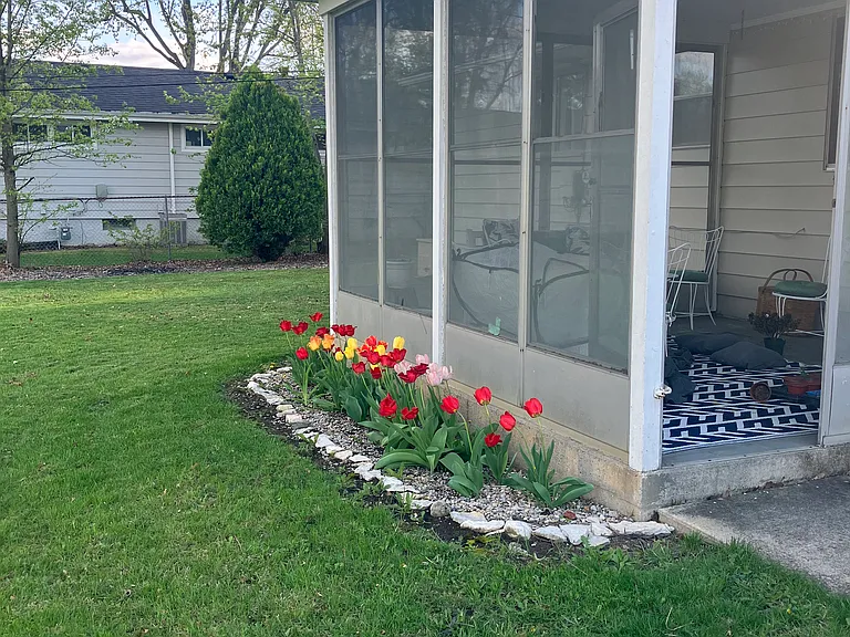 4154 Daner Dr — Photo 8