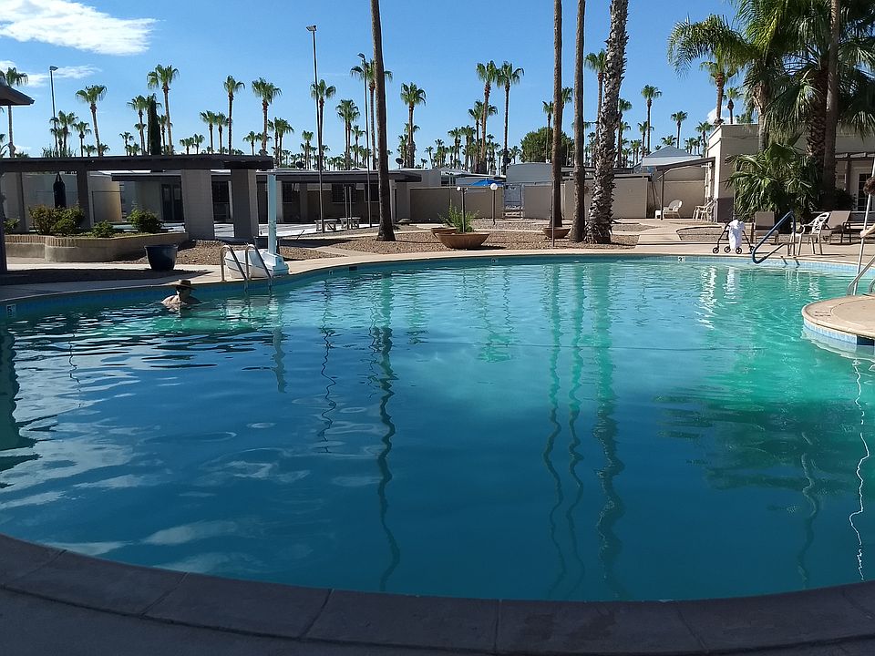 adult pool clubhouse 