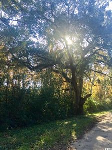 86 Yale Pl, Pawleys Island, SC, 29585