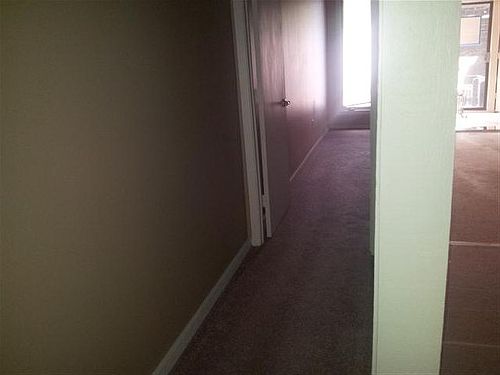 4th image of 1569 Treetop Trl APT B