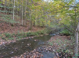 0 Eelpot Rd #78, Naples, NY 14512