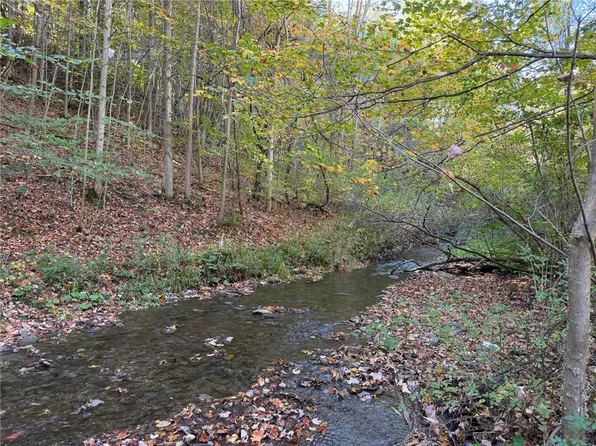 0 Eelpot Rd #78, Naples, NY 14512