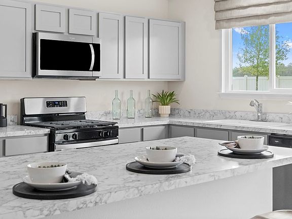 Stainless steel kitchen appliances