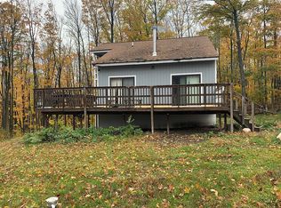 5550 Alpenhorn Ct, Bellaire, MI 49615