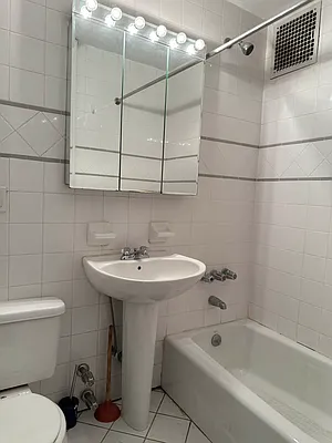 Rented by Eric Goodman Realty Corp | media 9