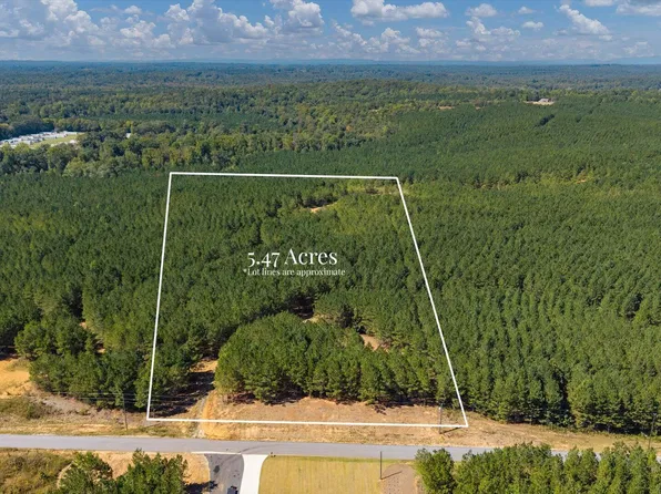 0 Steadman Rd, Tallapoosa, GA 30176