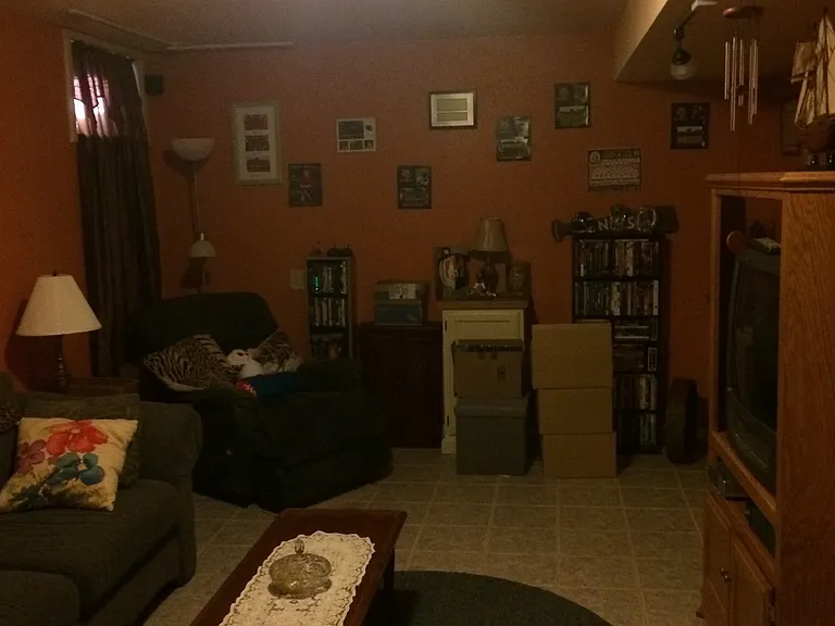 Basement family room