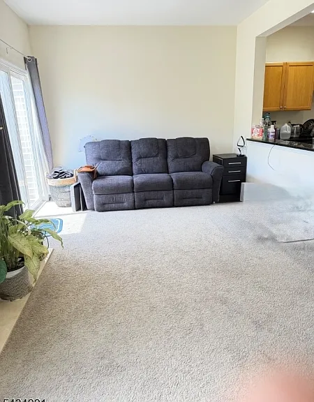 154 Springhill Dr — Photo 12