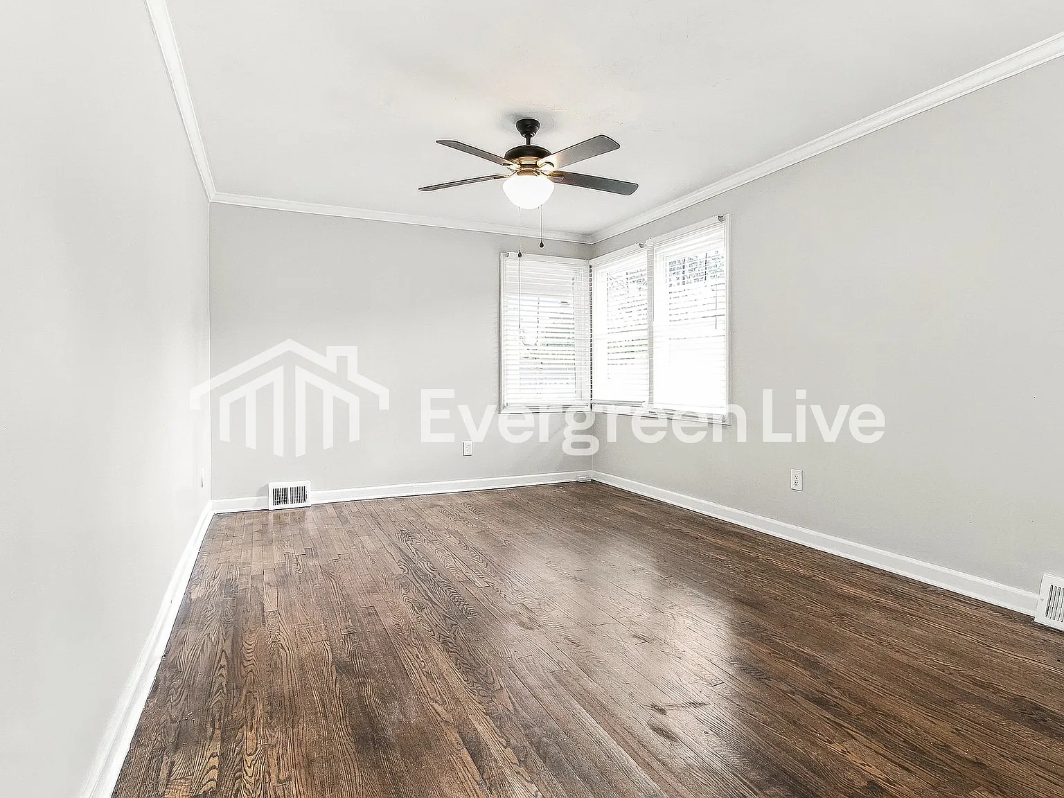 3 bed, 1.5 bath, 1000 sqft, $1,445 — Photo 4