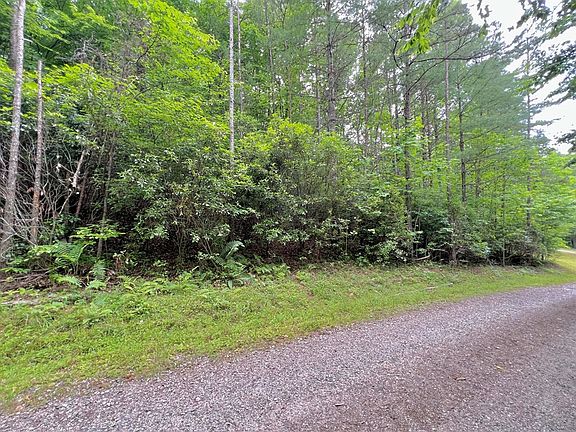 2nd image of 0 Emerald Pond Dr