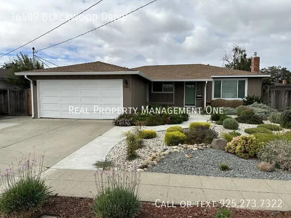 36509 Blackwood Dr, Newark, CA 94560