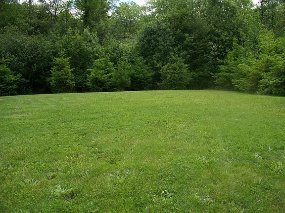 Spacious and private back yard